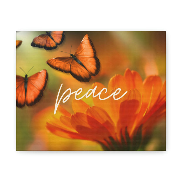 Peace Butterfly Canvas