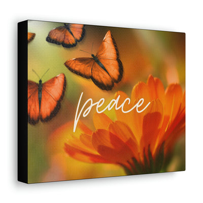 Peace Butterfly Canvas